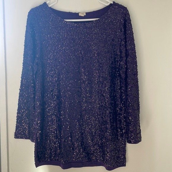 J Crew Sequin Top - Picture 2 of 5